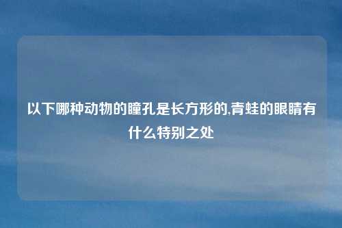 以下哪种动物的瞳孔是长方形的,青蛙的眼睛有什么特别之处