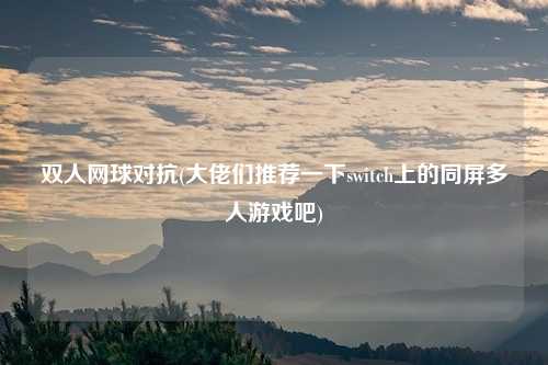 双人网球对抗(大佬们推荐一下switch上的同屏多人游戏吧)