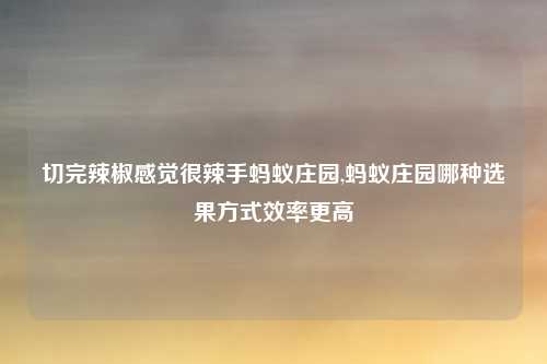 切完辣椒感觉很辣手蚂蚁庄园,蚂蚁庄园哪种选果方式效率更高