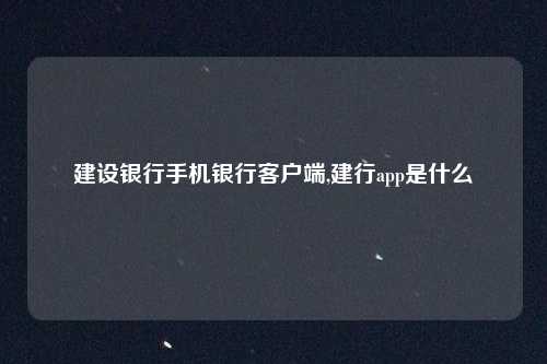 建设银行手机银行客户端,建行app是什么