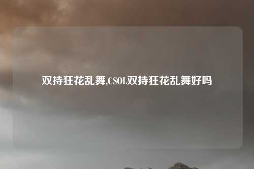 双持狂花乱舞,CSOL双持狂花乱舞好吗