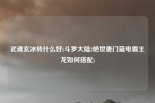 武魂玄冰转什么好(斗罗大陆2绝世唐门蓝电霸王龙如何搭配)