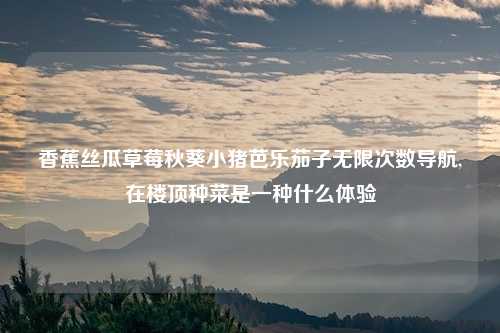 香蕉丝瓜草莓秋葵小猪芭乐茄子无限次数导航,在楼顶种菜是一种什么体验