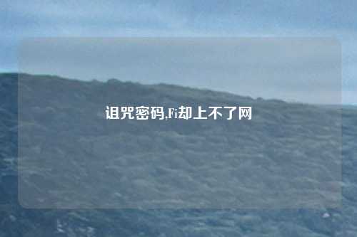 诅咒密码,Fi却上不了网