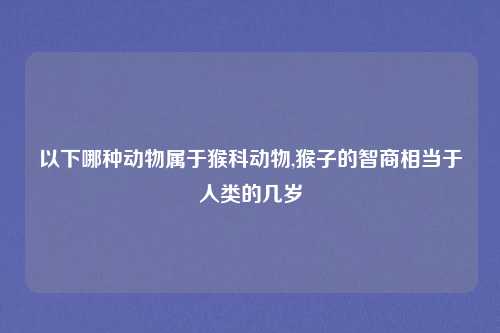 以下哪种动物属于猴科动物,猴子的智商相当于人类的几岁