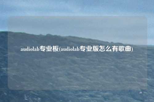 audiolab专业板(audiolab专业版怎么有歌曲)