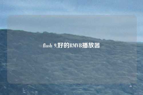 flash 9,好的RMVB播放器