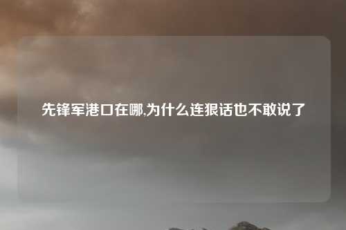 先锋军港口在哪,为什么连狠话也不敢说了