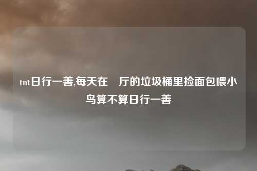 tnt日行一善,每天在歺厅的垃圾桶里捡面包喂小鸟算不算日行一善