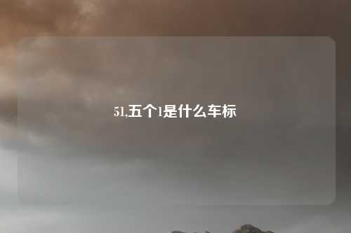 51,五个1是什么车标