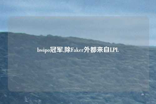bwipo冠军,除Faker外都来自LPL