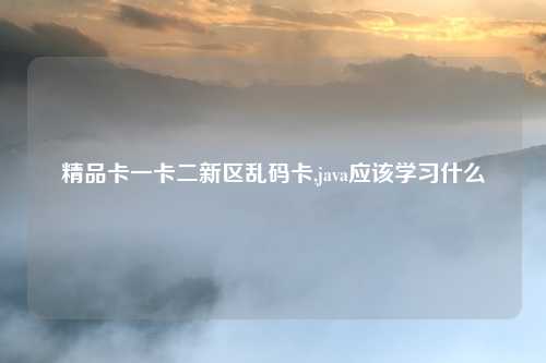 精品卡一卡二新区乱码卡,java应该学习什么