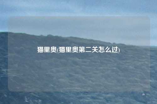 猫里奥(猫里奥第二关怎么过)