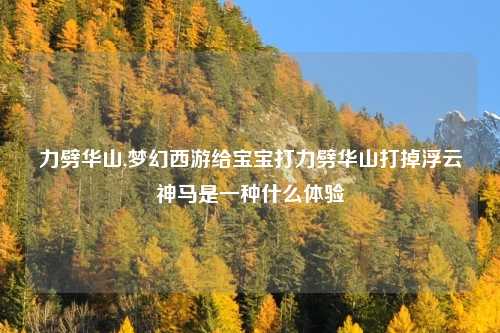 力劈华山,梦幻西游给宝宝打力劈华山打掉浮云神马是一种什么体验
