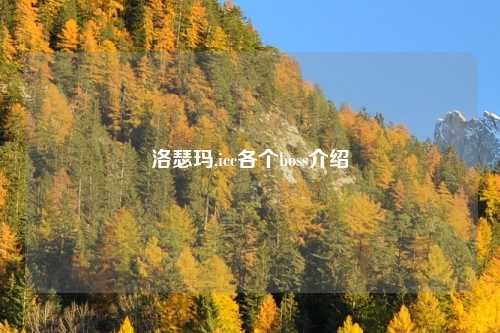 洛瑟玛,icc各个boss介绍