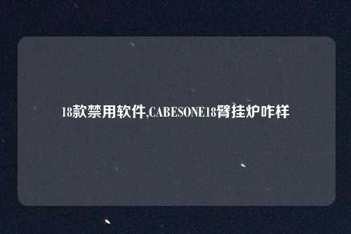 18款禁用软件,CABESONE18臂挂炉咋样