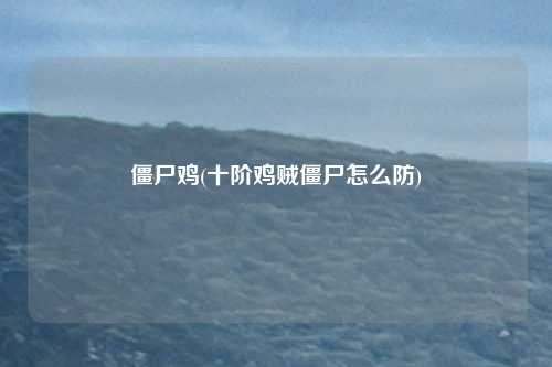 僵尸鸡(十阶鸡贼僵尸怎么防)