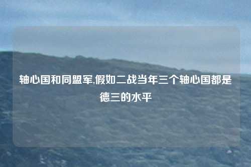 轴心国和同盟军,假如二战当年三个轴心国都是德三的水平