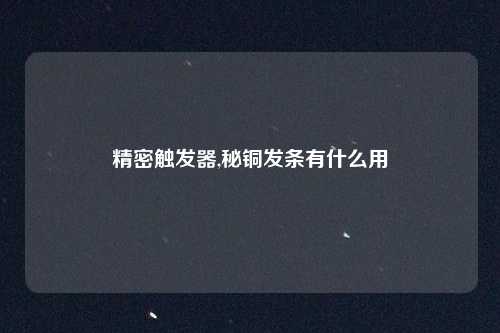 精密触发器,秘铜发条有什么用