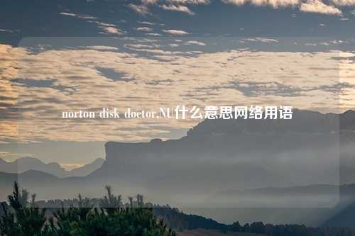 norton disk doctor,NU什么意思网络用语