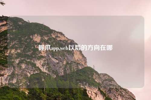 握爪app,web以后的方向在哪