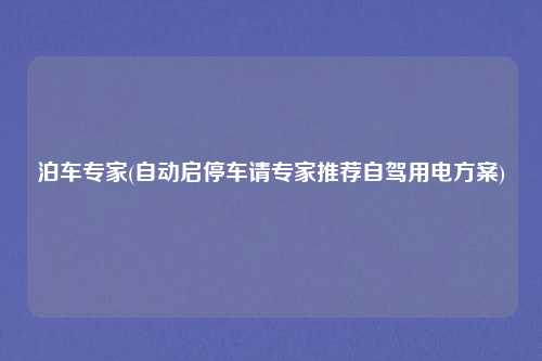 泊车专家(自动启停车请专家推荐自驾用电方案)