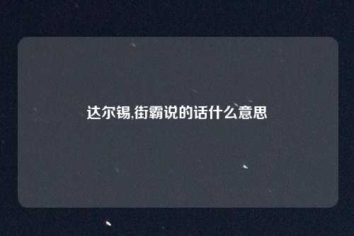 达尔锡,街霸说的话什么意思