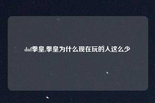 dnf拳皇,拳皇为什么现在玩的人这么少