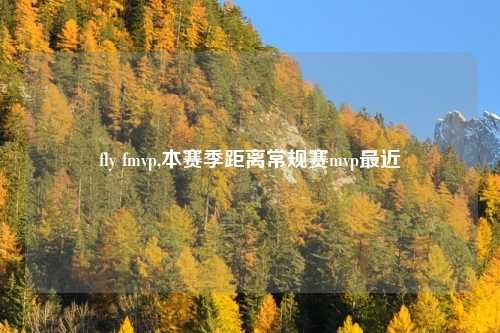 fly fmvp,本赛季距离常规赛mvp最近