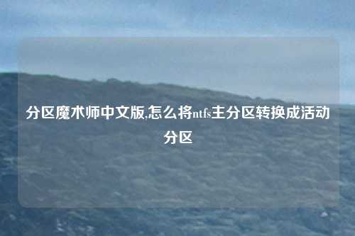 分区魔术师中文版,怎么将ntfs主分区转换成活动分区