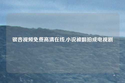 银杏视频免费高清在线,小说被翻拍成电视剧