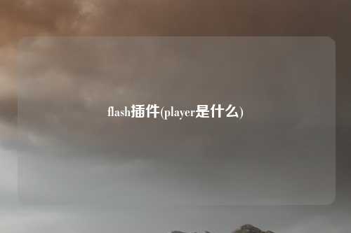 flash插件(player是什么)