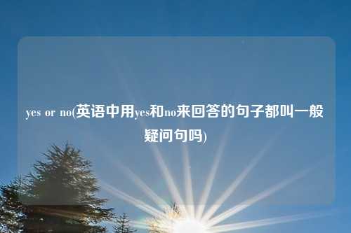 yes or no(英语中用yes和no来回答的句子都叫一般疑问句吗)