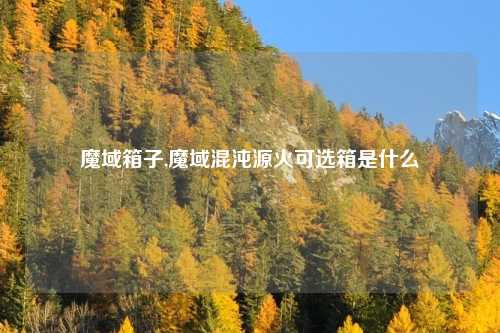 魔域箱子,魔域混沌源火可选箱是什么