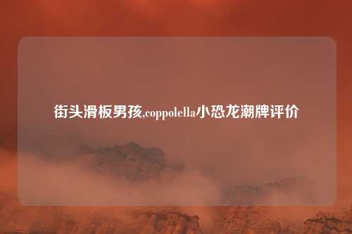 街头滑板男孩,coppolella小恐龙潮牌评价
