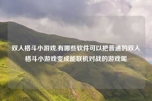双人格斗小游戏,有哪些软件可以把普通的双人格斗小游戏变成能联机对战的游戏呢