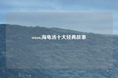 sroan,海龟汤十大经典故事