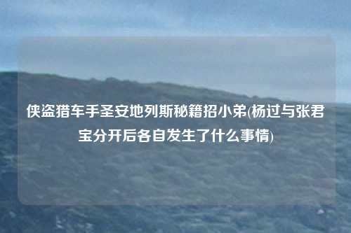 侠盗猎车手圣安地列斯秘籍招小弟(杨过与张君宝分开后各自发生了什么事情)