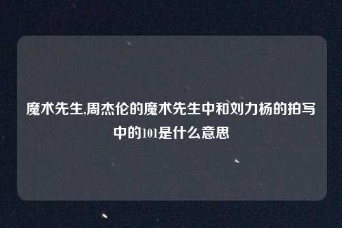 魔术先生,周杰伦的魔术先生中和刘力杨的拍写中的101是什么意思