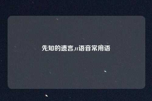 先知的遗言,tt语音常用语