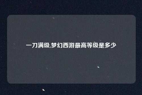 一刀满级,梦幻西游最高等级是多少