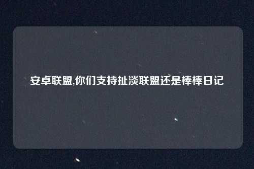 安卓联盟,你们支持扯淡联盟还是棒棒日记