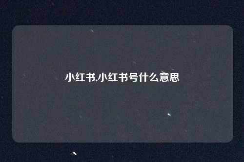 小红书,小红书号什么意思