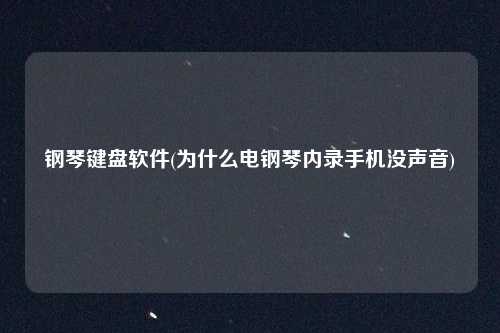 钢琴键盘软件(为什么电钢琴内录手机没声音)