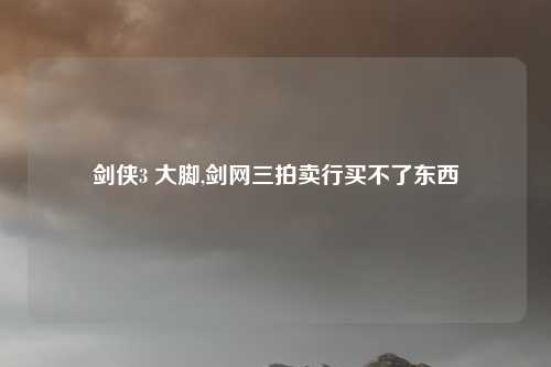 剑侠3 大脚,剑网三拍卖行买不了东西