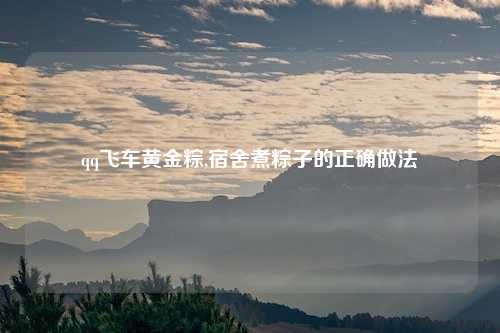 qq飞车黄金粽,宿舍煮粽子的正确做法