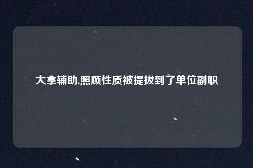 大拿辅助,照顾性质被提拔到了单位副职