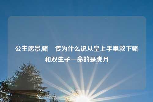 公主愿景,甄嬛传为什么说从皇上手里救下甄嬛和双生子一命的是胧月