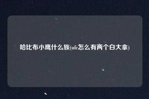 哈比布小鹰什么族(ufc怎么有两个白大拿)