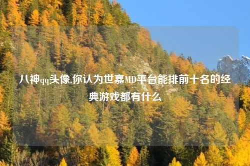 八神qq头像,你认为世嘉MD平台能排前十名的经典游戏都有什么
